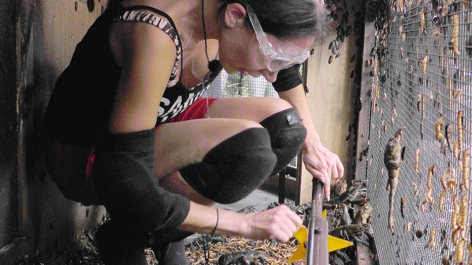 Dschungelcamp 2026: Samira Yavuz trotzt Spinnen, Schlangen und Krokodil in finaler Prüfung 61 Samira Yavuz im Dschungelcamp 2026