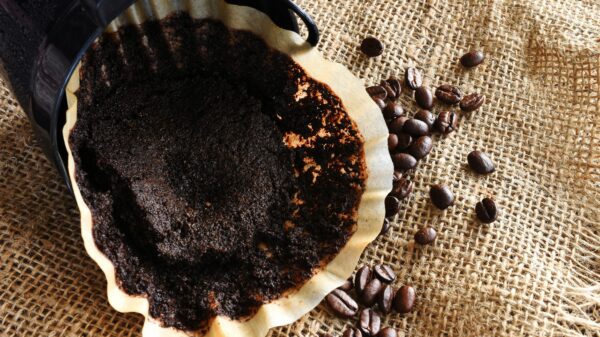 Kaffeesatz