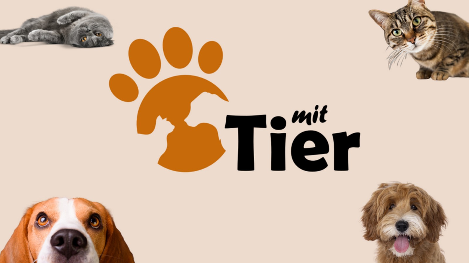 BurdaForward startet neues Magazin "mit Tier" - KUKKSI als Partner dabei 61 "mit Tier"