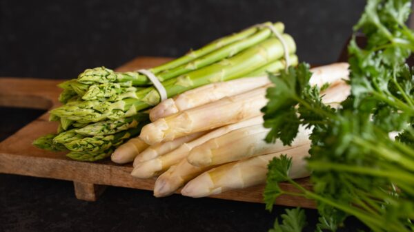 Spargel
