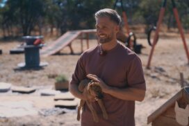Date endet in Notaufnahme: Bachelor Sebastian Paul wurde gebissen 68 Date endet in Notaufnahme: Bachelor Sebastian Paul wurde gebissen