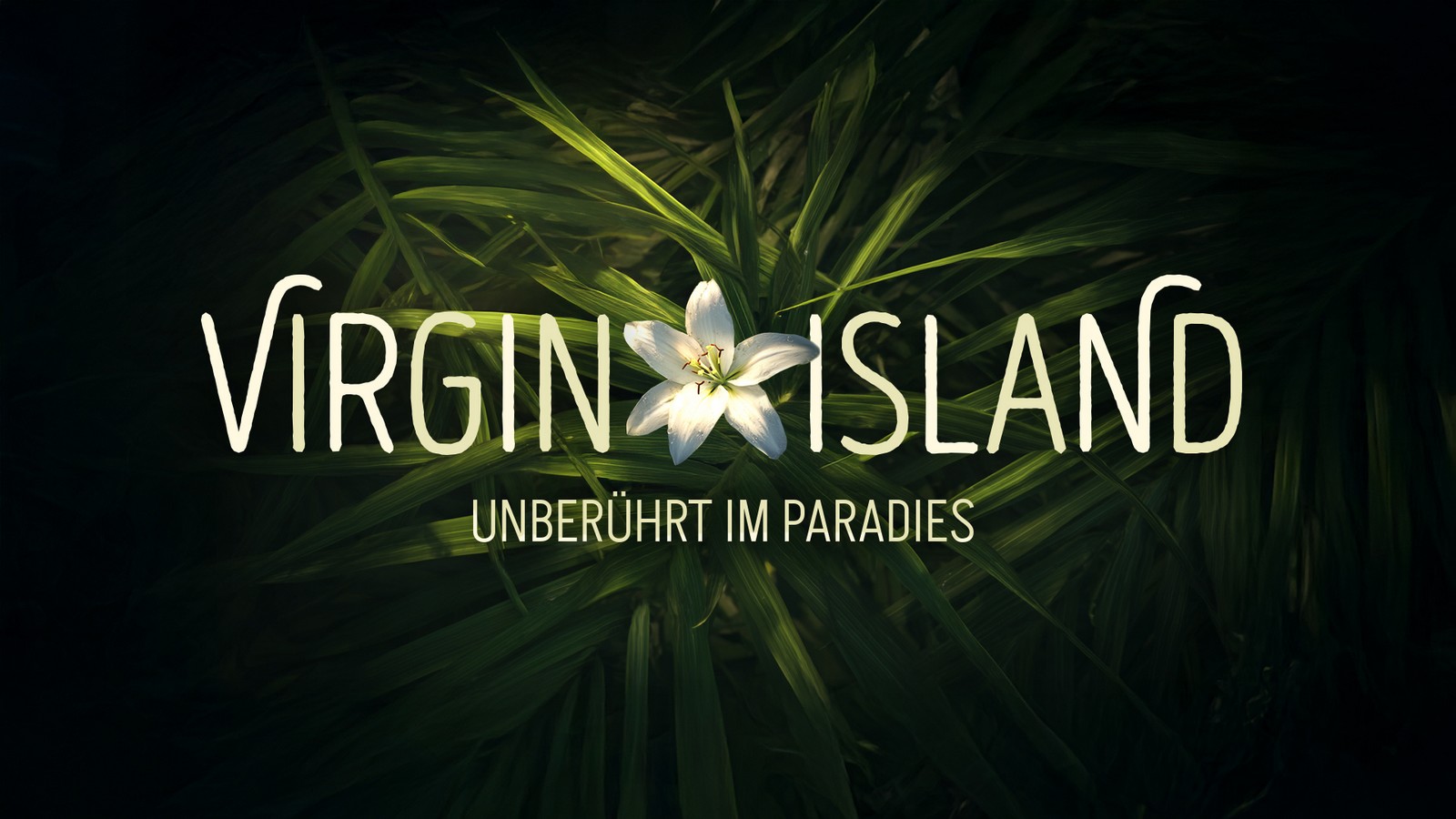 Neue RTL-Realityshow "Virgin Island": Kandidaten erleben ihr erstes Mal im TV 61 "Virgin Island" bei RTL