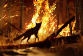 Grausame Tierquälerei bei Waldbränden in Italien: Brandstifter jagen brennende Katzen in den Wald 68 Grausame Tierquälerei bei Waldbränden in Italien: Brandstifter jagen brennende Katzen in den Wald